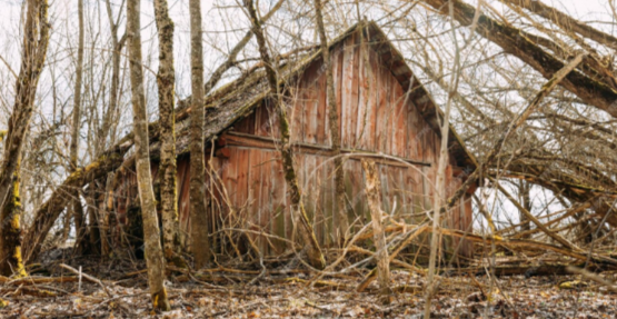 Screenshot Capture - 2025-08-04 - 00-11-59