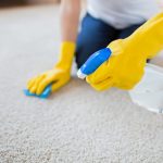 carpet cleaning service west hartford