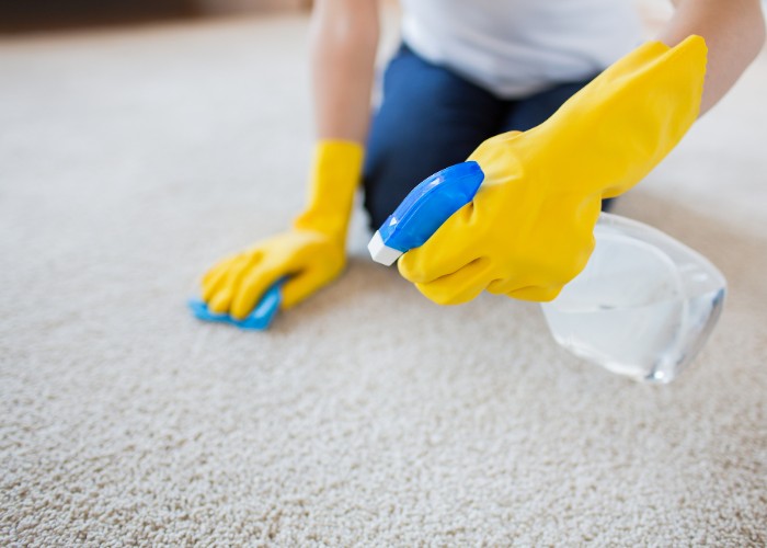 carpet cleaning service west hartford