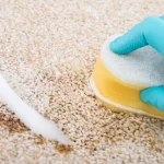 Removing High-Sugar Beverage and Fruit Juice Stains: Specialized Carpet Cleaning Service in Macomb Township, MI