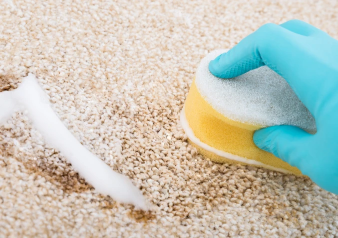 Removing High-Sugar Beverage and Fruit Juice Stains: Specialized Carpet Cleaning Service in Macomb Township, MI