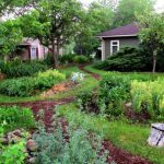 Swale Design Ideas for Guiding Rainwater Across Residential Property