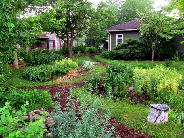 Swale Design Ideas for Guiding Rainwater Across Residential Property